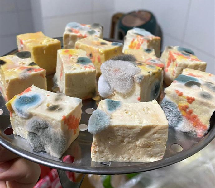 正在发酵中的霉豆腐